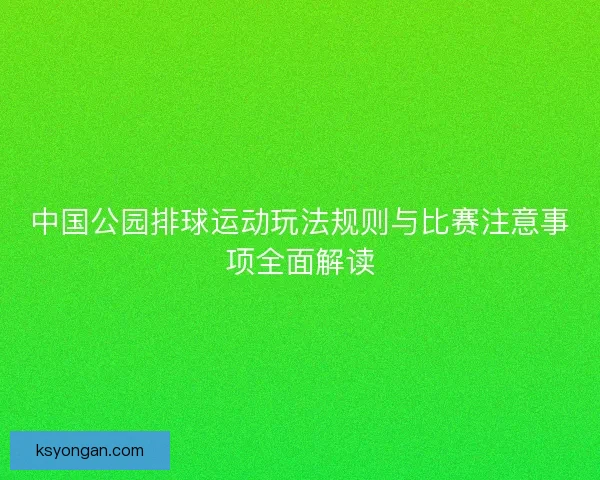 中国公园排球运动玩法规则与比赛注意事项全面解读